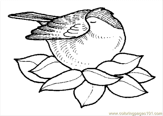 Coloring Pages Coloring Pages Bird Nest 3 (Natural World > Trees