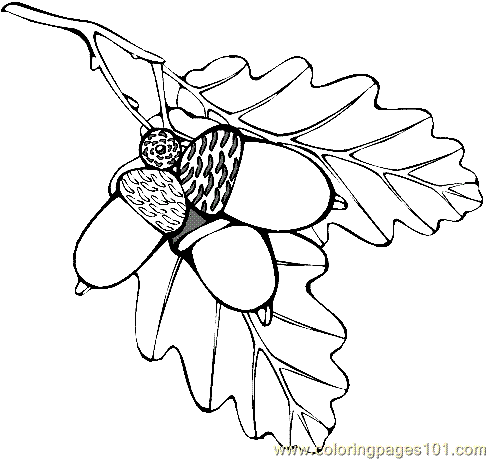 Coloring Pages Leaf Coloring Page 04 (Natural World > Trees) - free