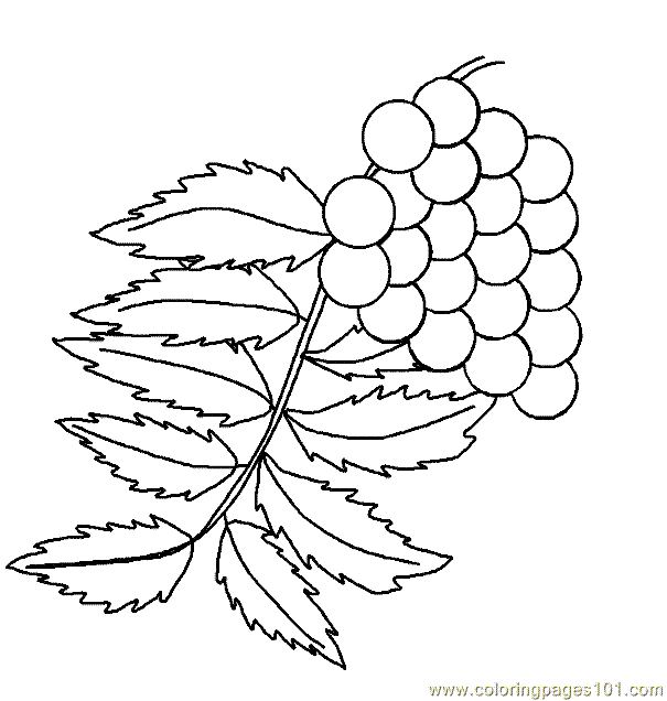 Coloring Pages Leaf Coloring Page 05 (Natural World > Trees) - free