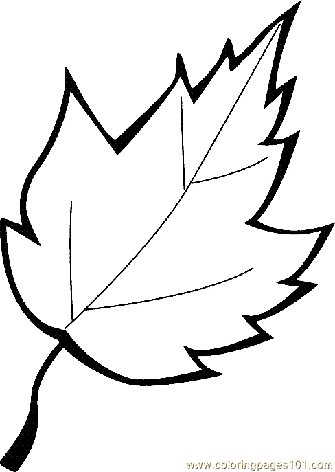 aspen leaf Colouring Pages (page 2)