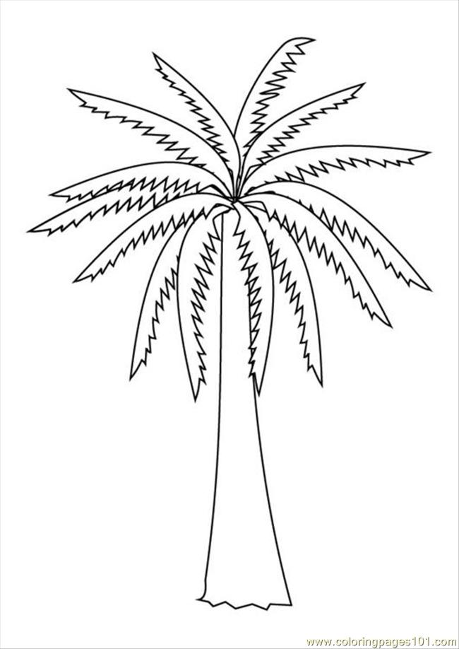 palm tree leaves coloring pages - photo #16