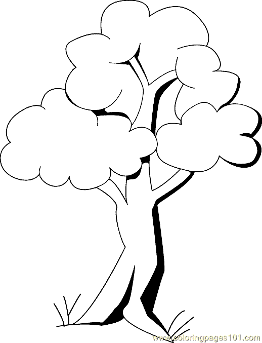 Coloring Pages Tree Coloring Page 13 (Natural World > Trees) - free