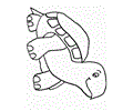 Turtle Coloring Pages  05