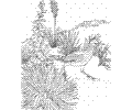 New Hampshire State Bird