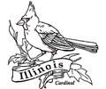 Cardinal Bird Of Illinois