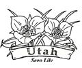 Flowers Of Utah