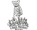 New Mexico Bear