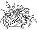 Tennesse