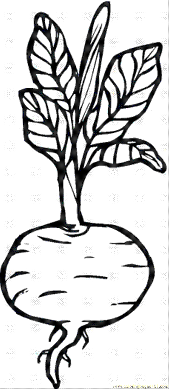 radish coloring pages - photo #27