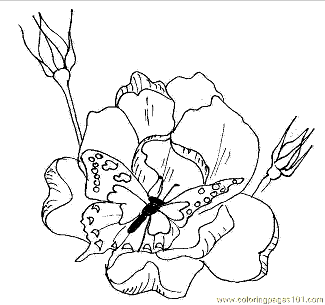 coloring pages of flowers and roses. Free Printable Coloring Pages