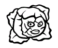 Cabbage