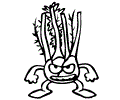 Fennel