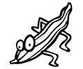 Luffa
