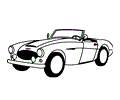 Austin Healey 100