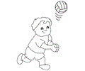 Volleyball7