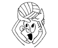 Volleyballplayer