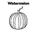 Watermelon12