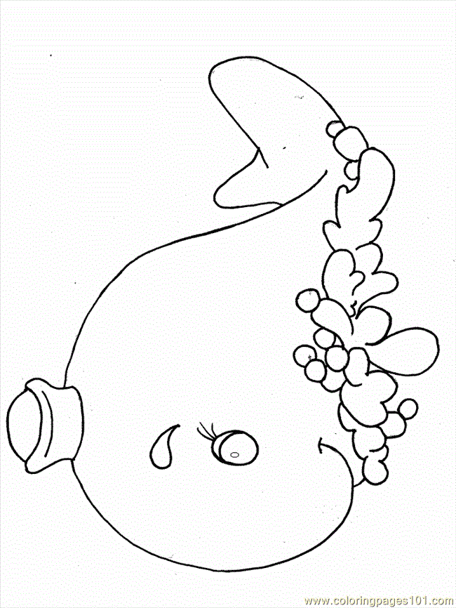 Whale Fish 11