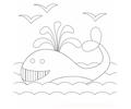 Whale3