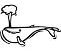 Whale (10)