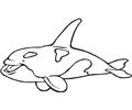 Whale (11)