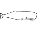 Whale (15)