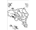 Winnie 23