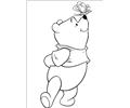 Winnie 26