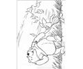 Winnie 42