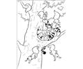 Winnie Pooh 87