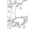 Winnie The Pooh 76