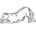 Wolves (6)