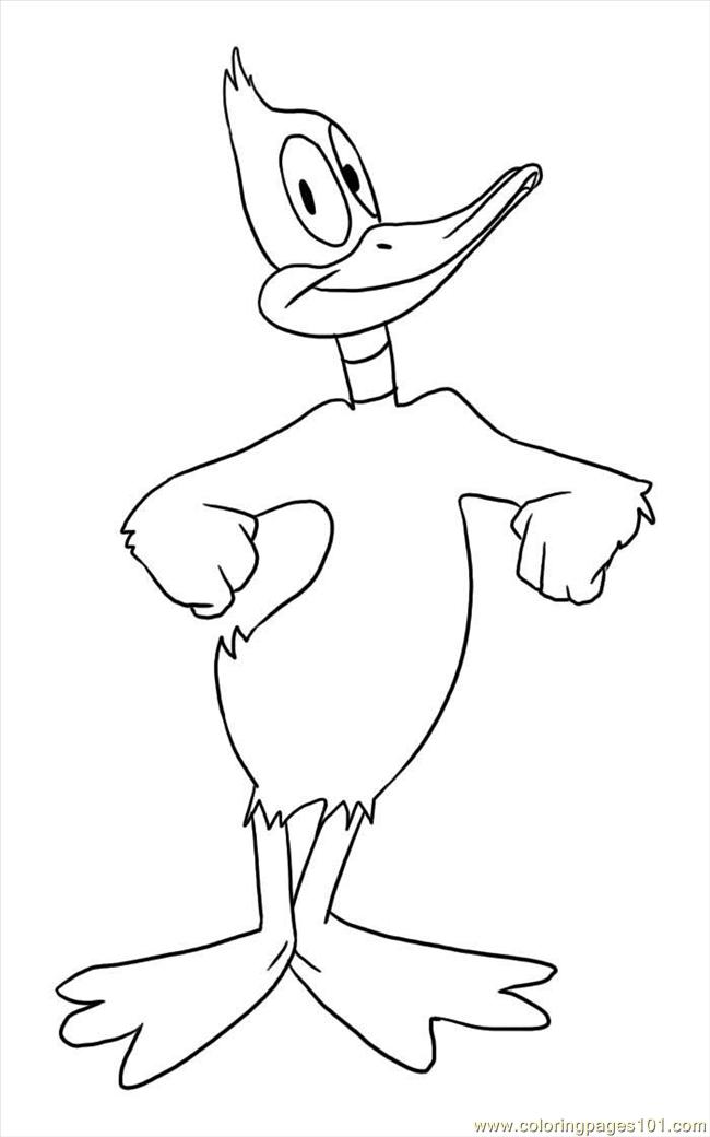 daffy duck coloring pages to print - photo #22