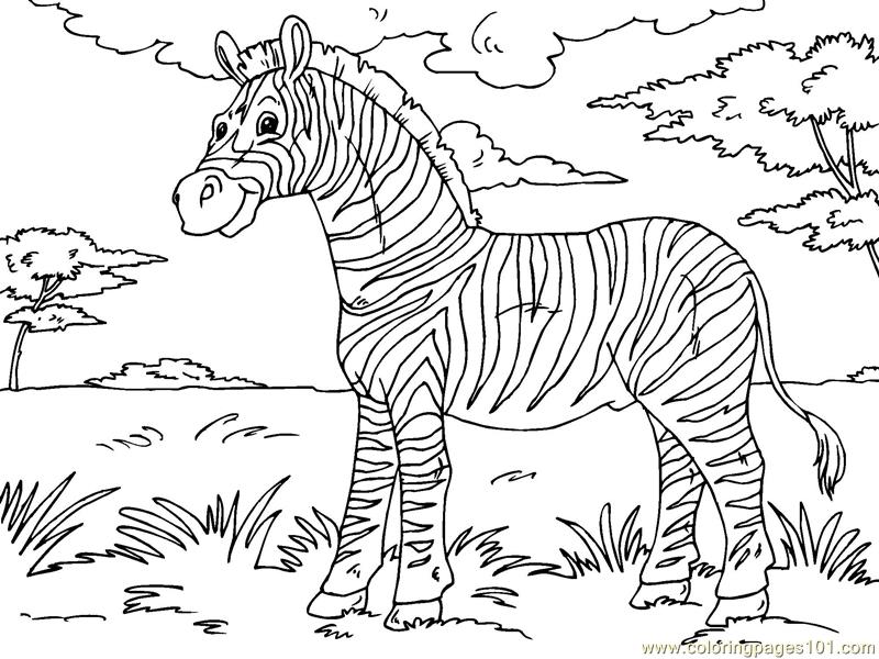 zebra coloring pages - photo #49