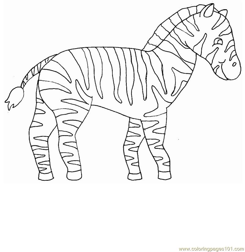 zebra coloring pages free - photo #35