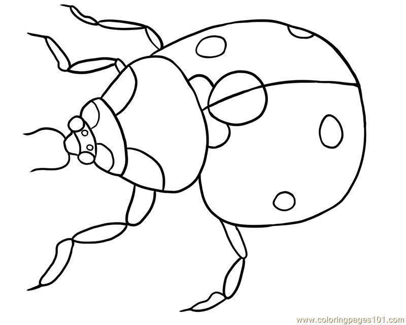 ladybug coloring pages for kids - photo #35