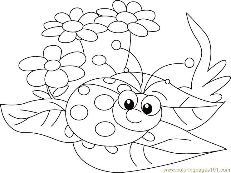 ladbug coloring pages - photo #38