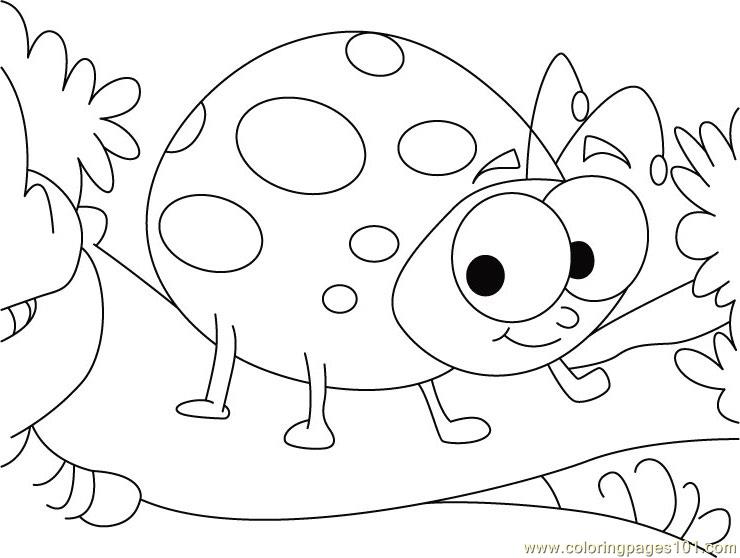 ladbug coloring pages - photo #34