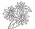 Black Eyed Susan