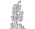 Delphinium