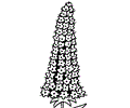 Echium