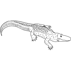 Alligators Coloring Pages for Kids Printable Free Download ...