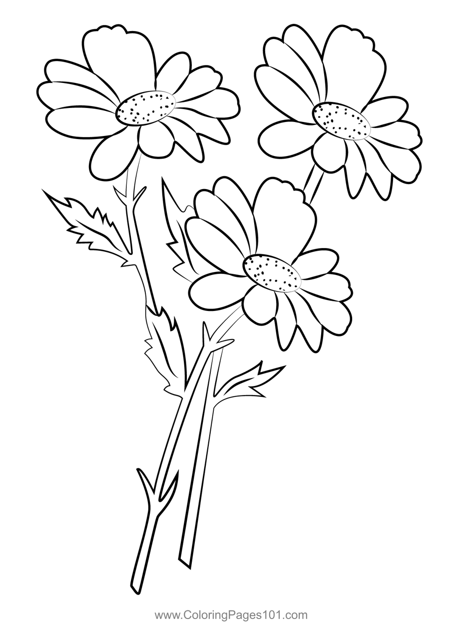 Meadow Flowers Coloring Page for Kids - Free Crocodile Printable ...