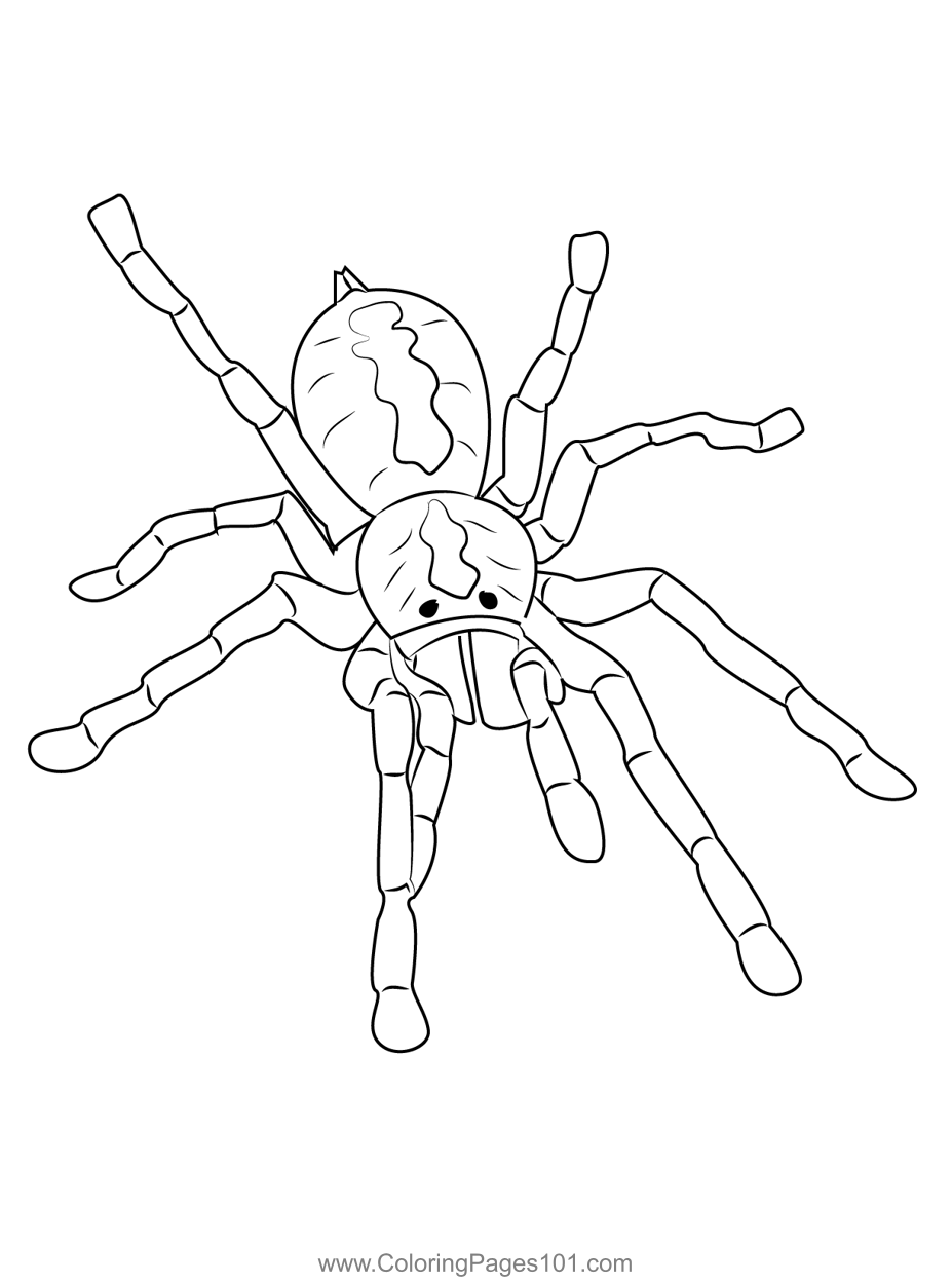 spider coloring page