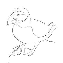 Auks Coloring Pages for Kids Printable Free Download - ColoringPages101.com