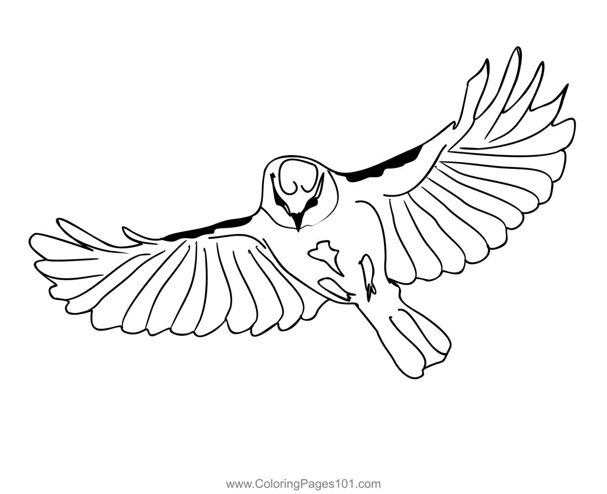 Blue Tit 3 Coloring Page for Kids - Free Bearded Tits Printable ...