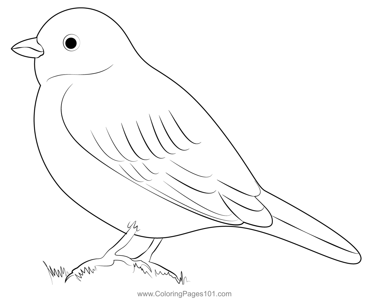 Horned Lark Bunting Coloring Page for Kids - Free Buntings Printable ...
