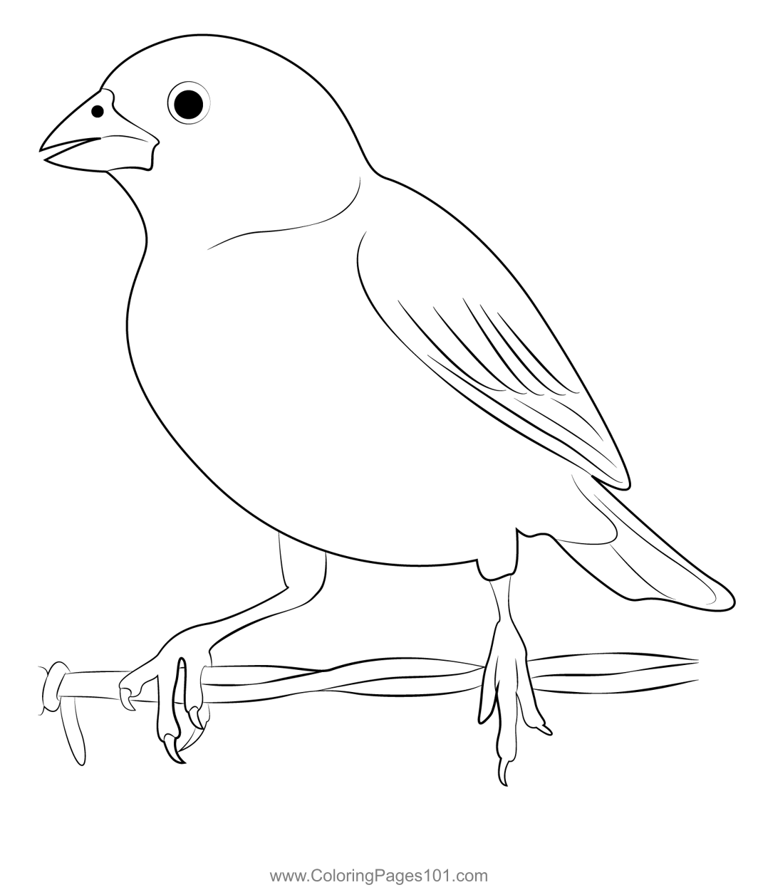 Male Lark Bunting Coloring Page for Kids - Free Buntings Printable ...