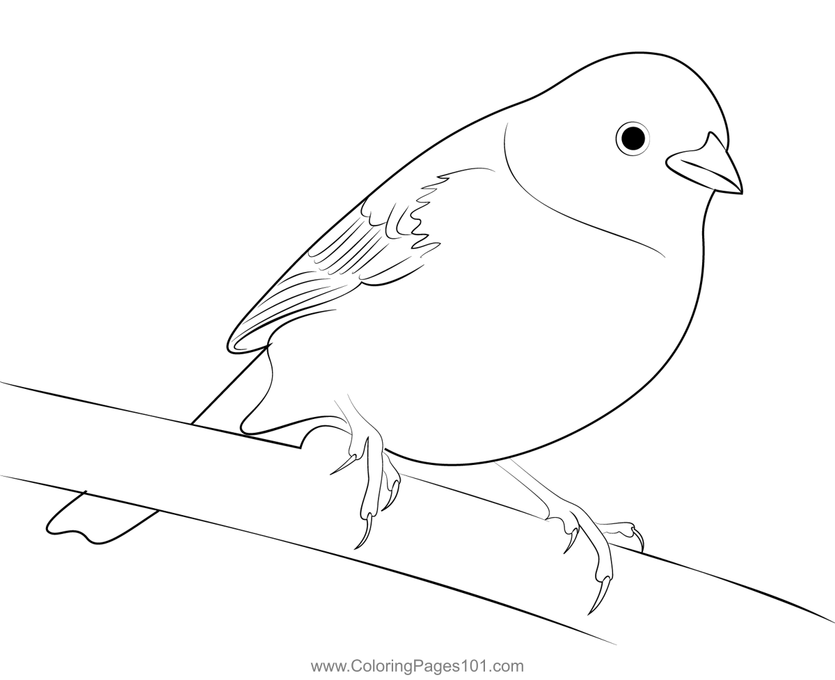 Rest Yellowhammer Coloring Page for Kids - Free Buntings Printable ...