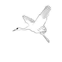 Crane 3 Coloring Page for Kids - Free Cranes Printable Coloring Pages ...